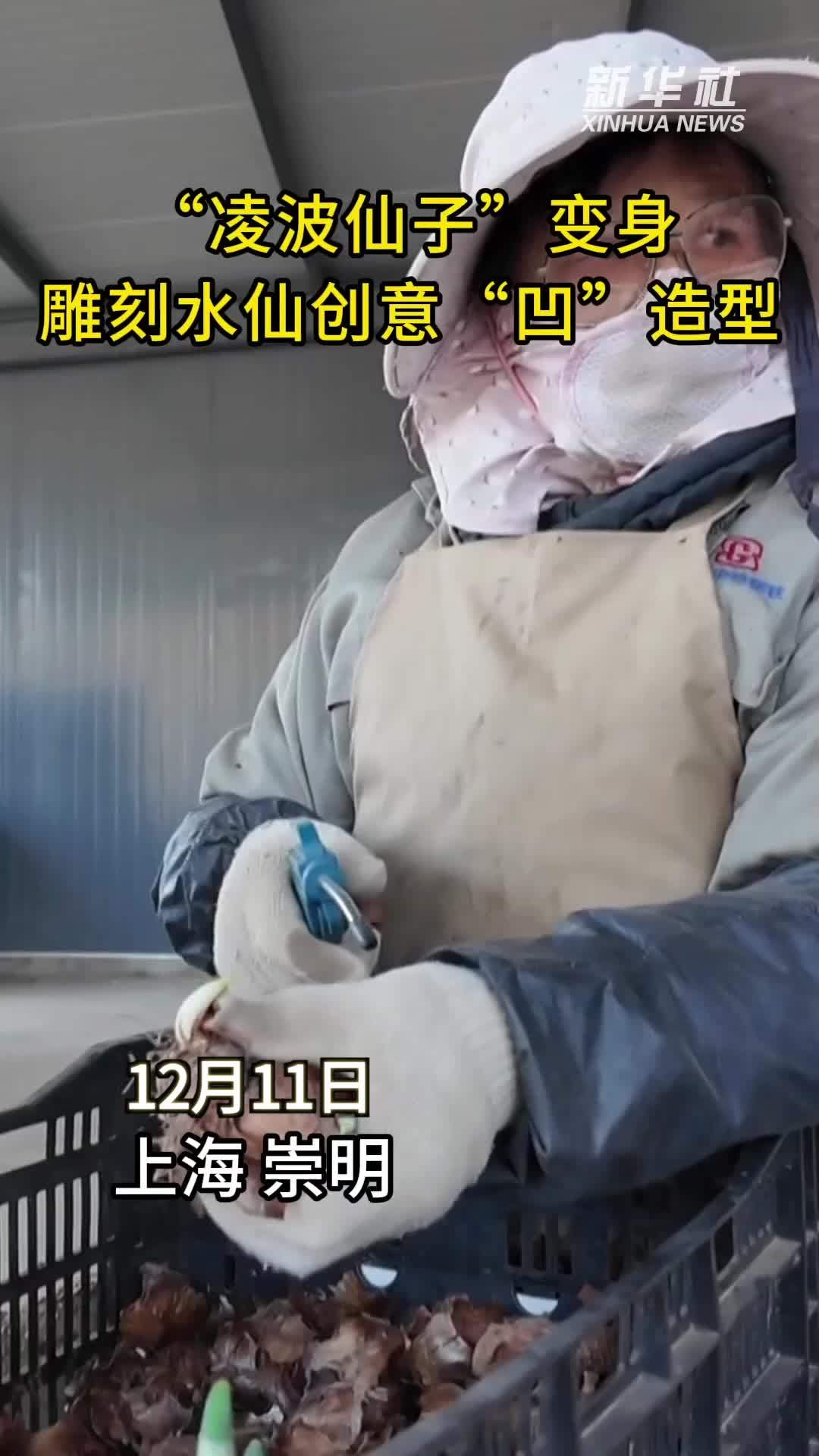 秀我中国｜“凌波仙子”变身！雕刻水仙创意“凹”造型