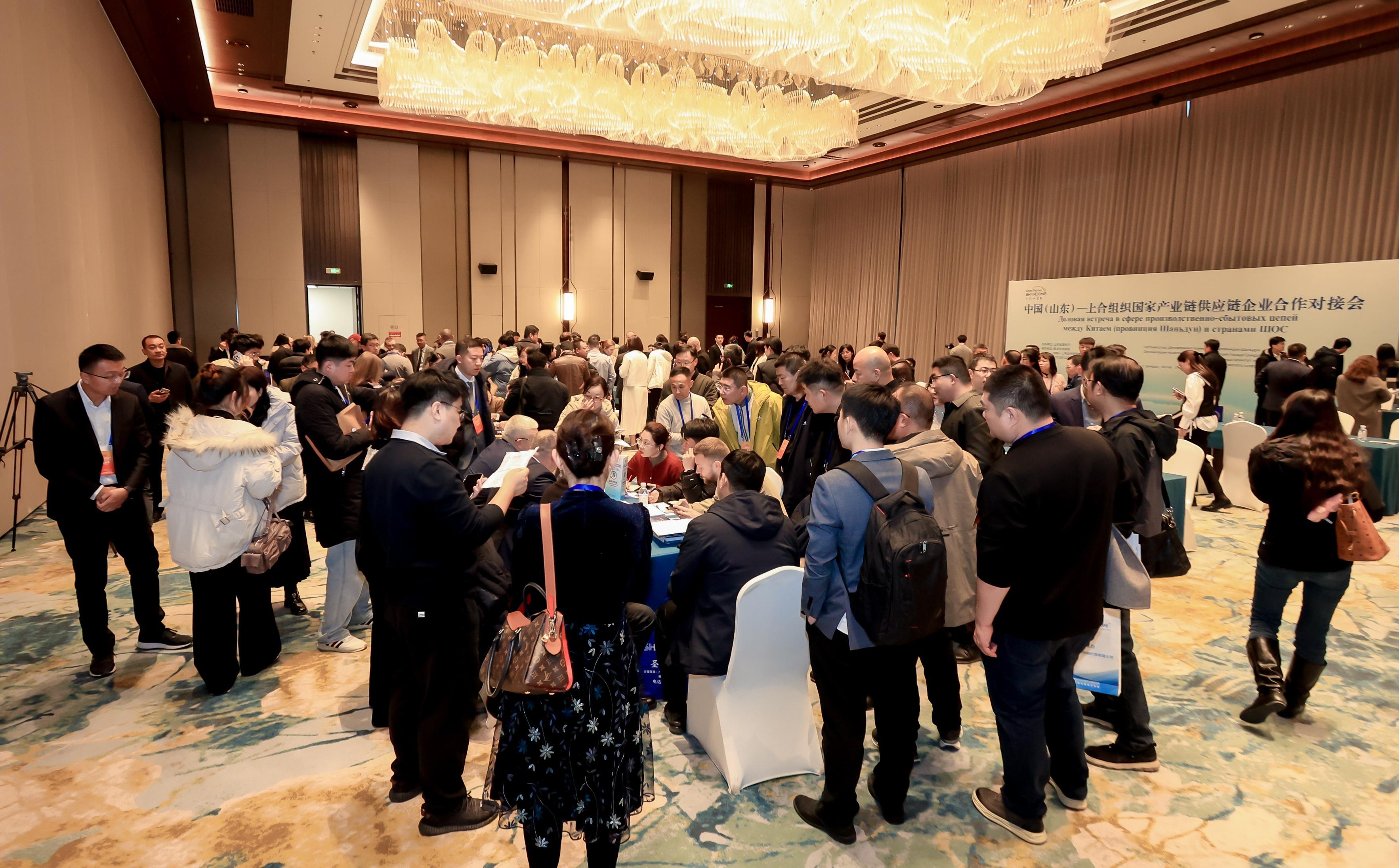 中国(山东)—上合组织国家产业链供应链合作推介交流会在上合示范区举行
