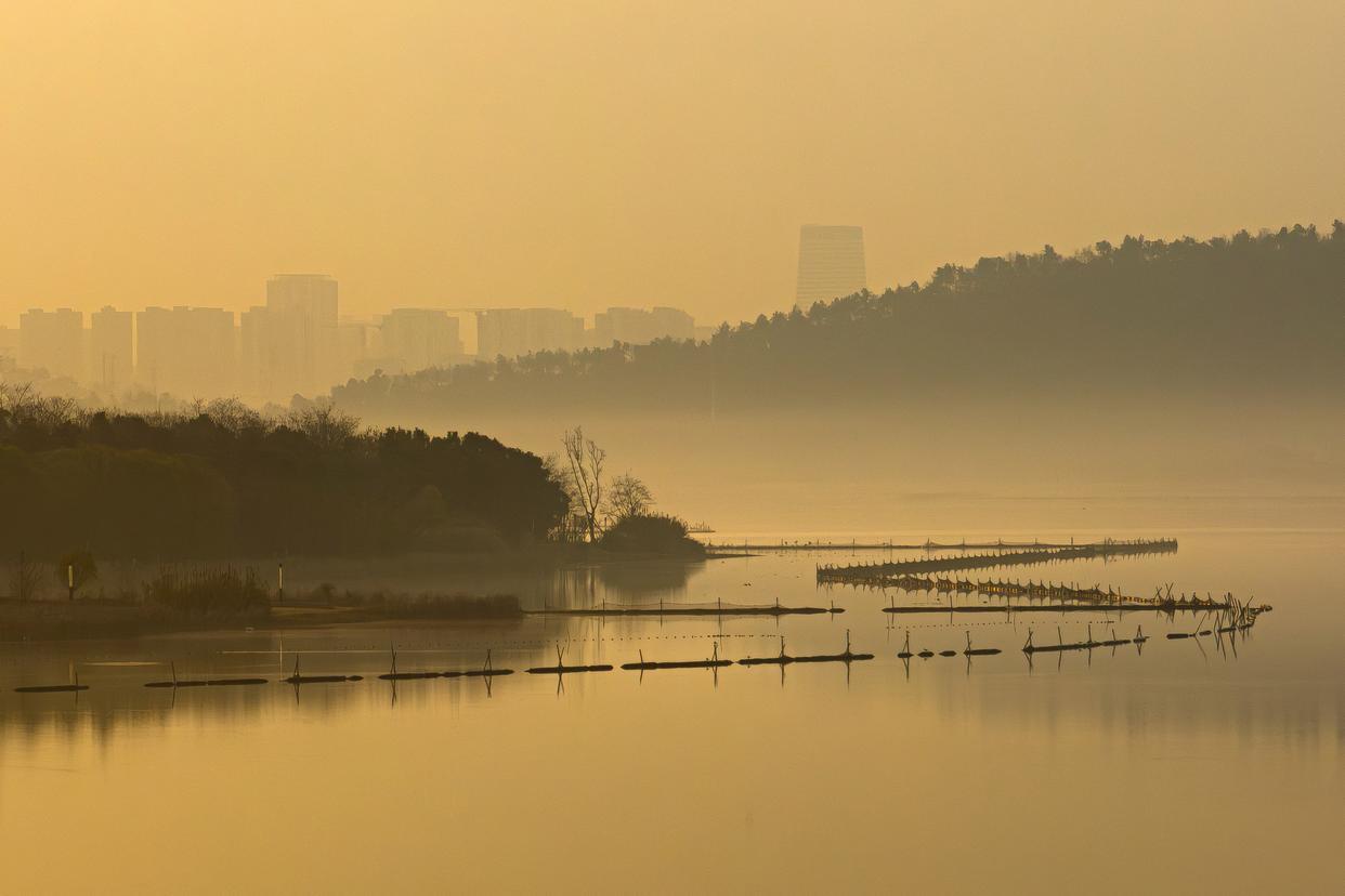 12月16日拍摄的武汉市东湖风景区一角。新华社记者 肖艺九 摄