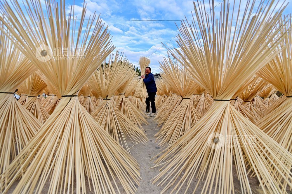 2025年12月16日，江西省宜春市万载县仙源乡仙源村村民在晾晒加工好的竹丝。