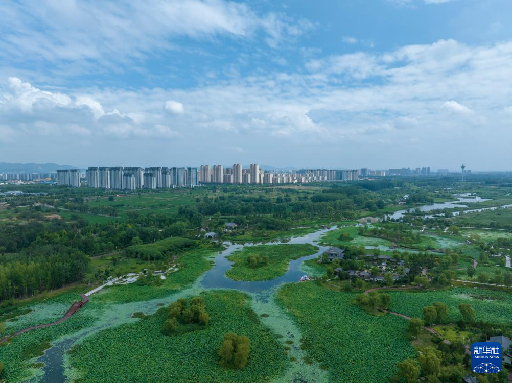 山西省长治市漳泽湖国家城市湿地公园一景(7月1日摄,无人机照片)。新华社发(孙兵兵摄)