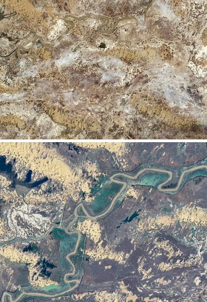 拼版卫星照片：上图为2010年8月14日拍摄的新疆巴音郭楞蒙古自治州尉犁县境内的塔里木河支流乌斯满河和周边地区；下图为2024年8月8日拍摄的新疆巴音郭楞蒙古自治州尉犁县境内的塔里木河支流乌斯满河和周边地区。该地区植被覆盖度和胡杨林地面积显著提升。新华社发