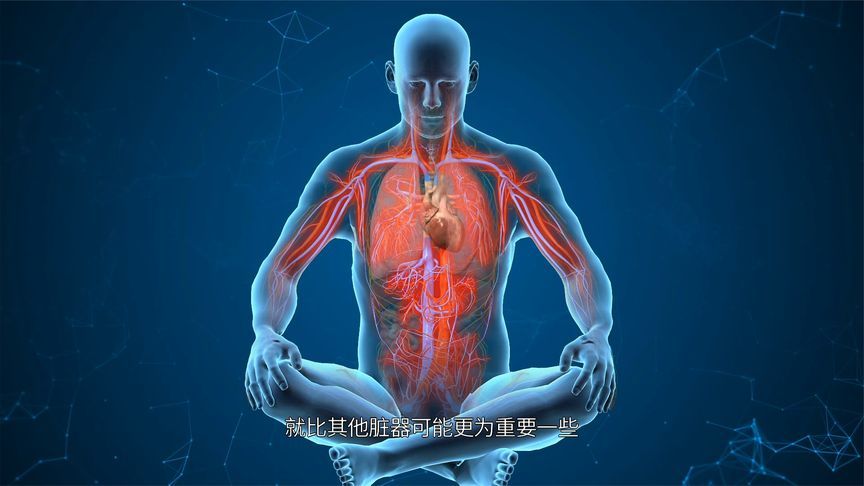 预防流感？学会清扫肺部垃圾