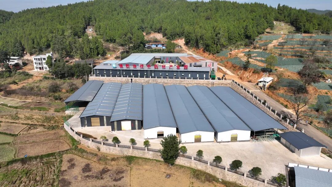 粤黔协作共建&middot;岑巩县现代农业产业园—大有中药材种植及精深加工示范区。