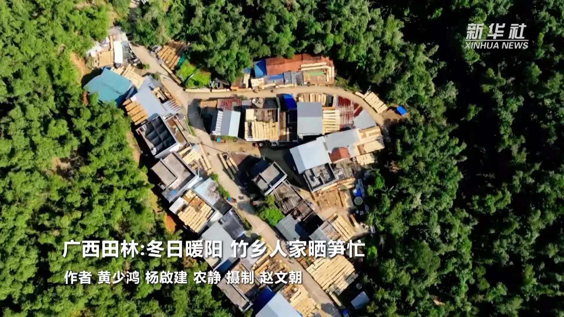 广西田林：冬日暖阳 竹乡人家晒笋忙