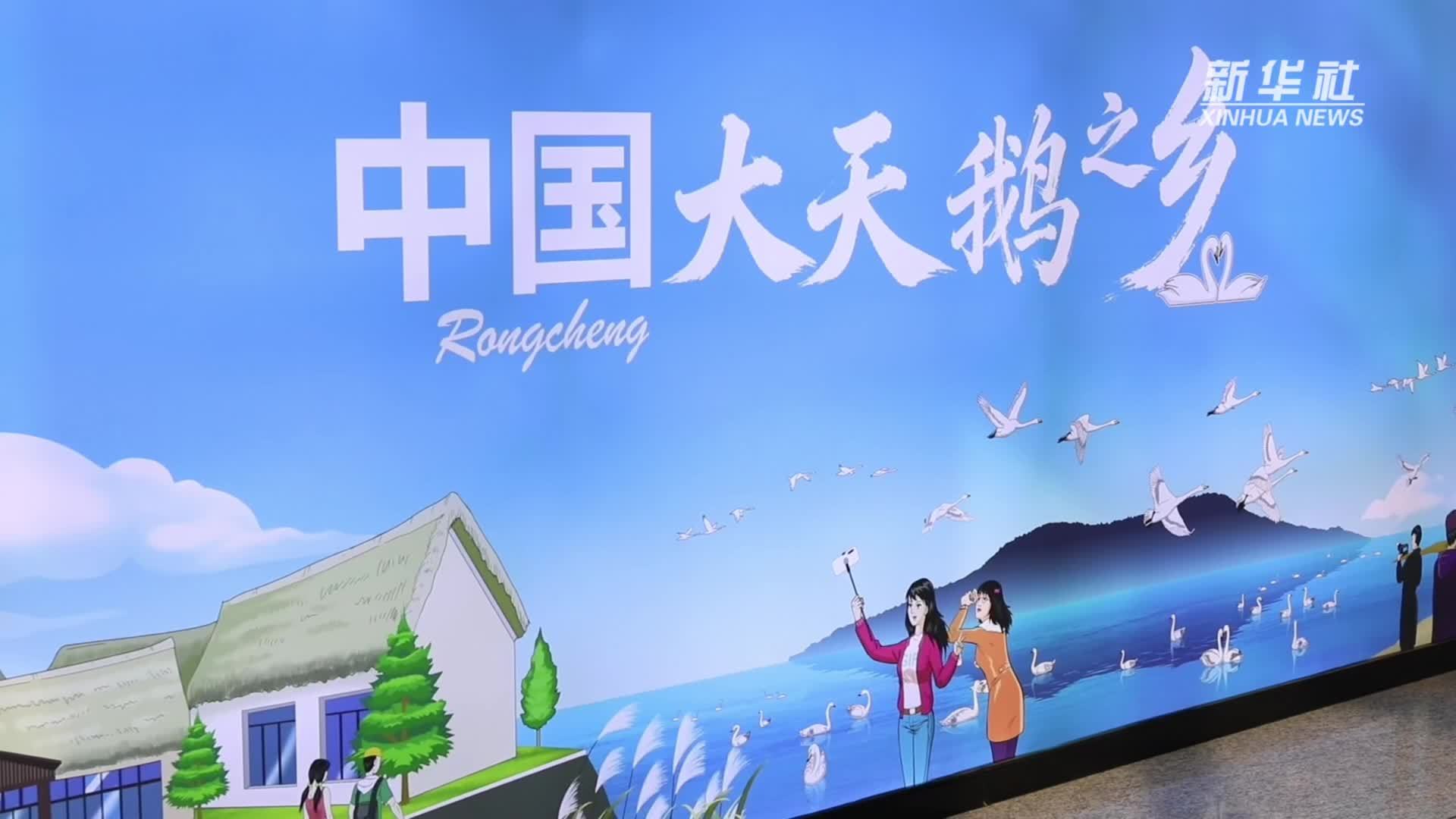 坐高铁看天鹅去！豫鲁首趟“天鹅”主题旅游专线列车开行