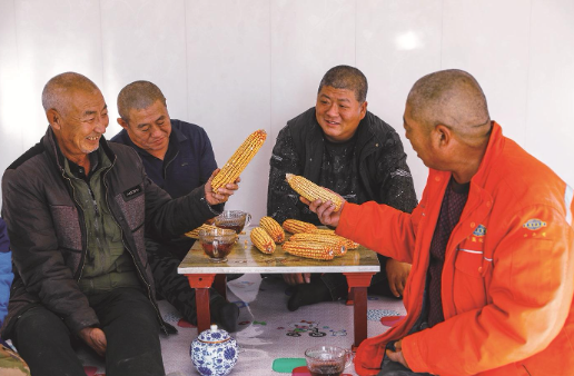 检测显示，这些水库淤泥有机质含量高达24％，相当于普通农田土壤的5倍，堪称“天然肥料”，对土壤改良具有很高价值。近日，在洮南市聚宝乡龙泉村，村民王梅捧着从改良田里收获的玉米说：“今年我家玉米每公顷产量在1.6万斤到1.7万斤，比去年多了3000斤左右！”通过淤泥增厚耕作层，结合田块平整与灌排系统升级，原来的土地焕发出新的活力。