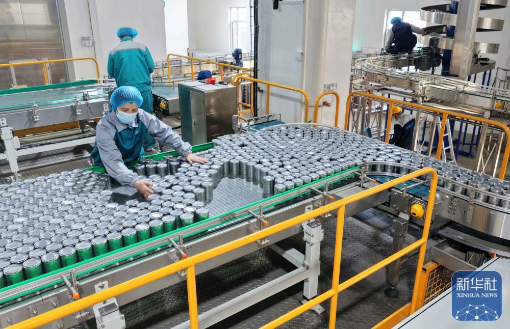 ↑ 12月15日，工人在山东省临沂市沂南县铜井镇宠物食品产业园宠物食品生产线忙碌。新华社发（王彦冰摄）