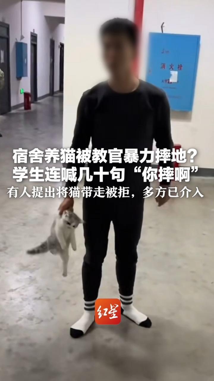 宿舍养猫被教官暴力摔地？更多争执细节流出：学生连喊几十句“你摔啊”有人提出将猫带走被拒，多方已介入