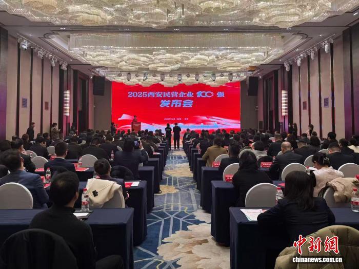 图为发布会现场。杨英琦 摄