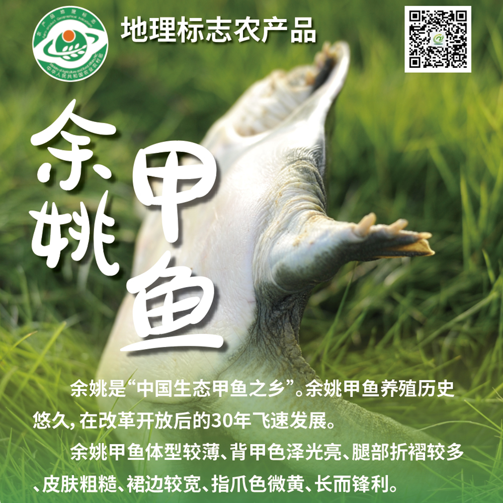 倒计时 7 天丨申请出战！十大区县明星产品亮相农博会