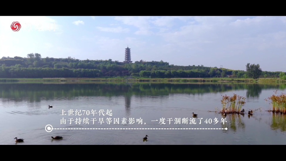 从干涸断流到水草丰盛群鸟翩飞，石家庄的这条母亲河到底经历了什么？