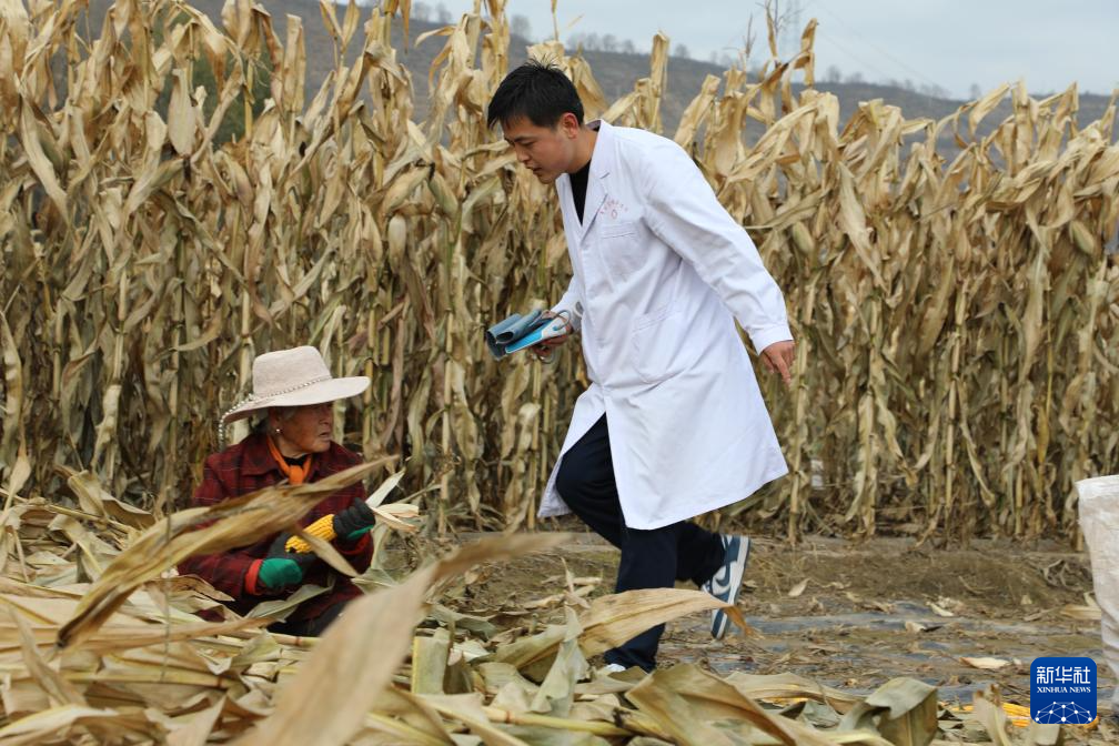 11月11日,王鑫来到玉米地为群众提供健康服务。新华社记者 梁军 摄