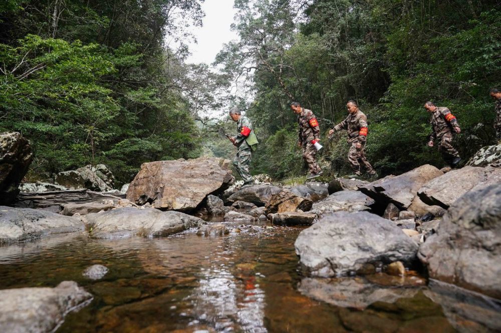 安远县三百山的护林员巡护山林，这里的溪水将和其他水源汇成东江源头。新华社资料图