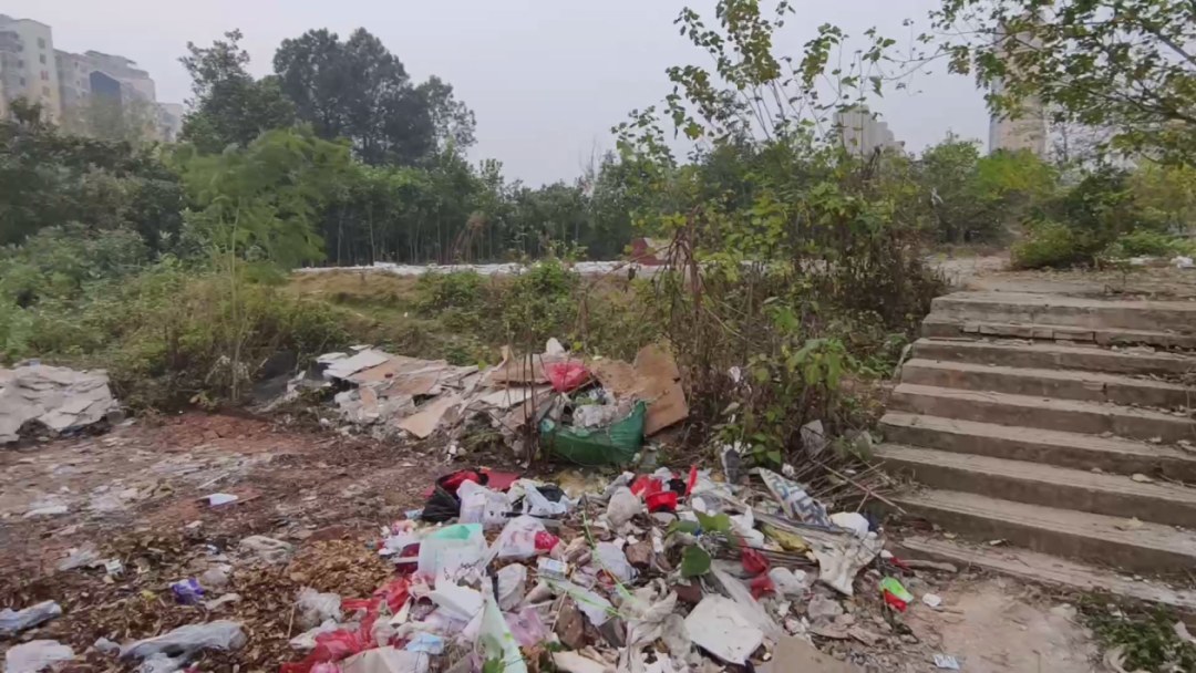 渝水区街道整洁墙内却成“垃圾场”？有关部门连夜清除