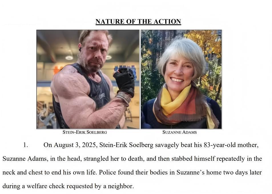 图源：法院起诉文件