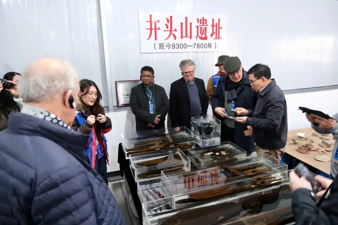 丰富的有机质文物令专家留恋