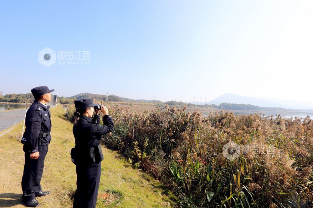 2025年12月15日，在江西省分宜县介溪湿地公园，分宜县公安局组织民警开展巡逻防护，守护候鸟栖息地安全。