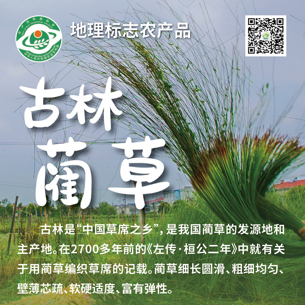 倒计时 7 天丨申请出战！十大区县明星产品亮相农博会