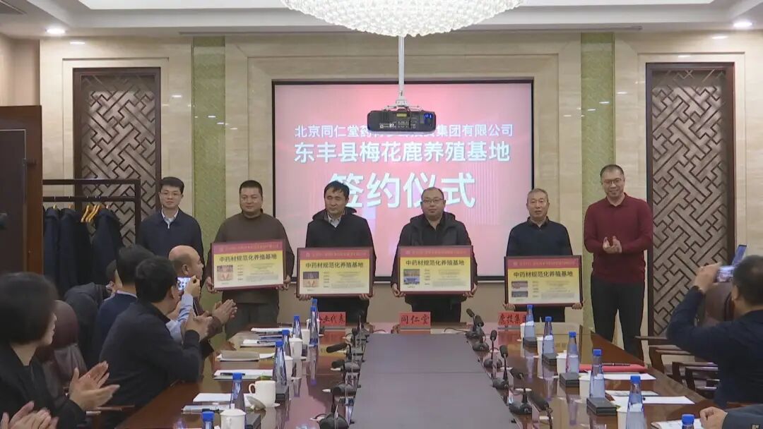 县领导张军、山田女及相关部门负责人参加签约仪式。