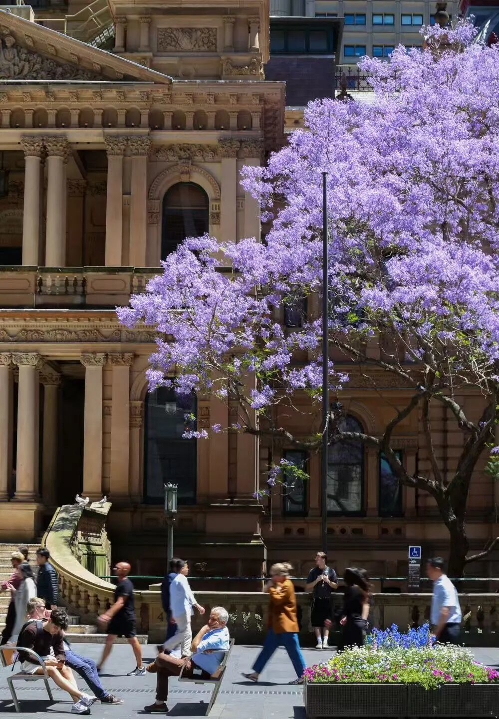 11月5日,在澳大利亚悉尼,人们从市政厅门口走过。新华社记者马平摄