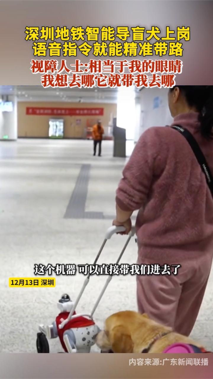 深圳地铁智能导盲犬上岗 语音指令就能精准带路 视障人士现场体验