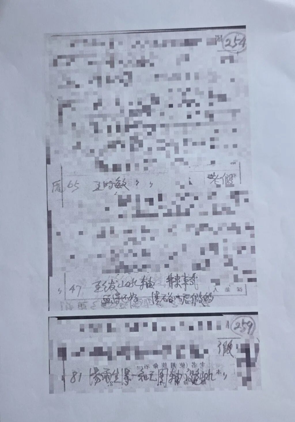 11月20日,南京博物院向法庭提交的鉴定材料, “大部分打上了马赛克”