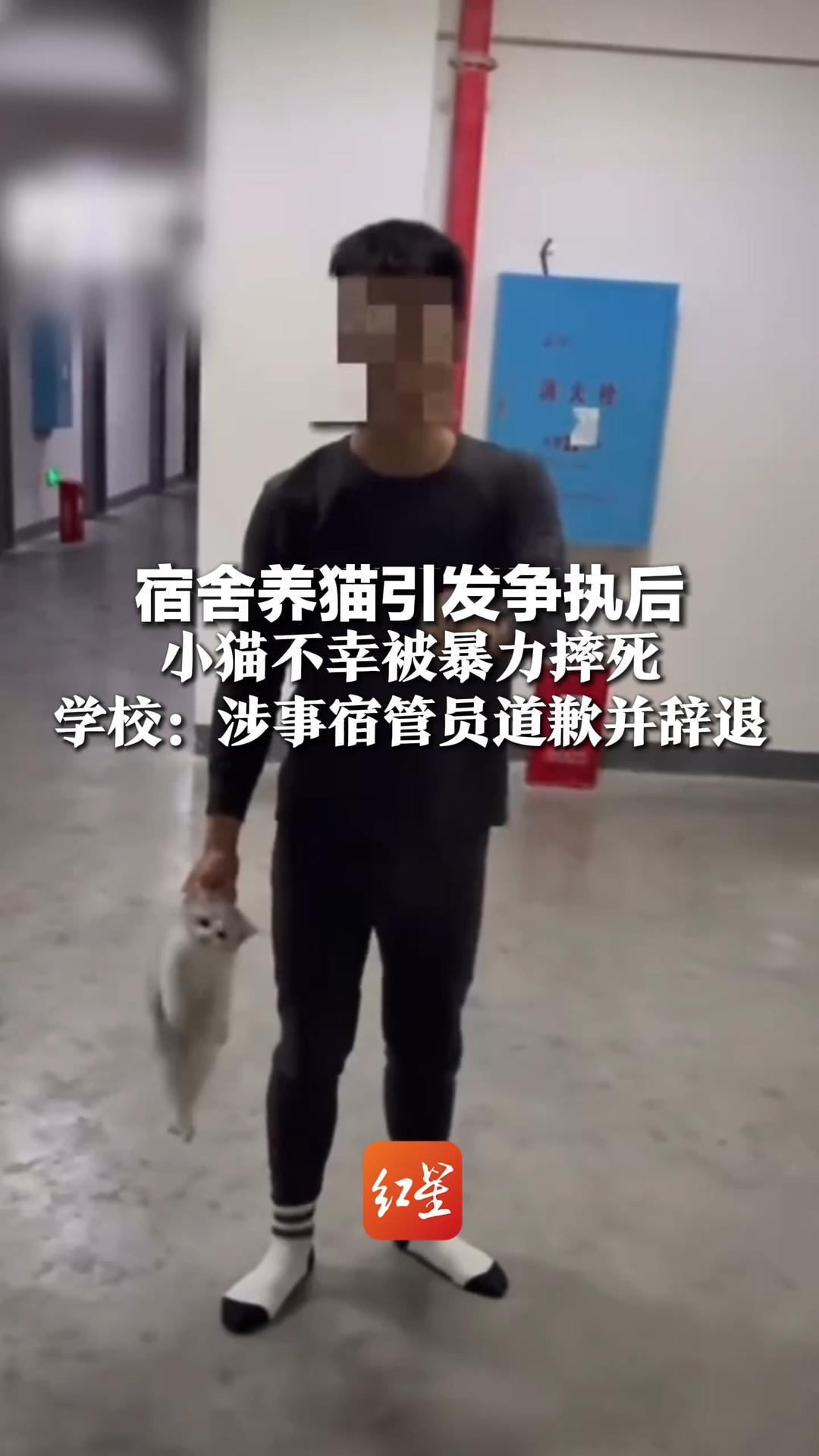 宿舍养猫引发争执后，小猫不幸被暴力摔死 学校：涉事宿管员行为失当，已辞退，并要求其公司严肃处理
