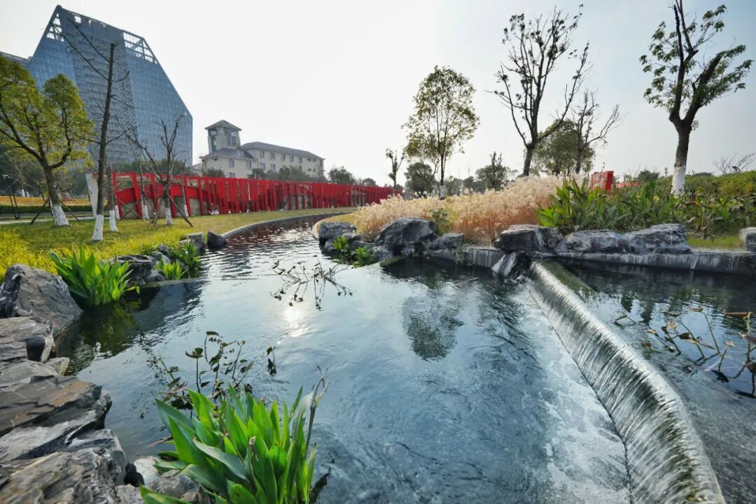 再生水生态补水一景