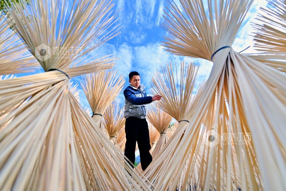 2025年12月16日，江西省宜春市万载县仙源乡统战信息员在仙源村帮助企业晾晒加工好的竹丝。