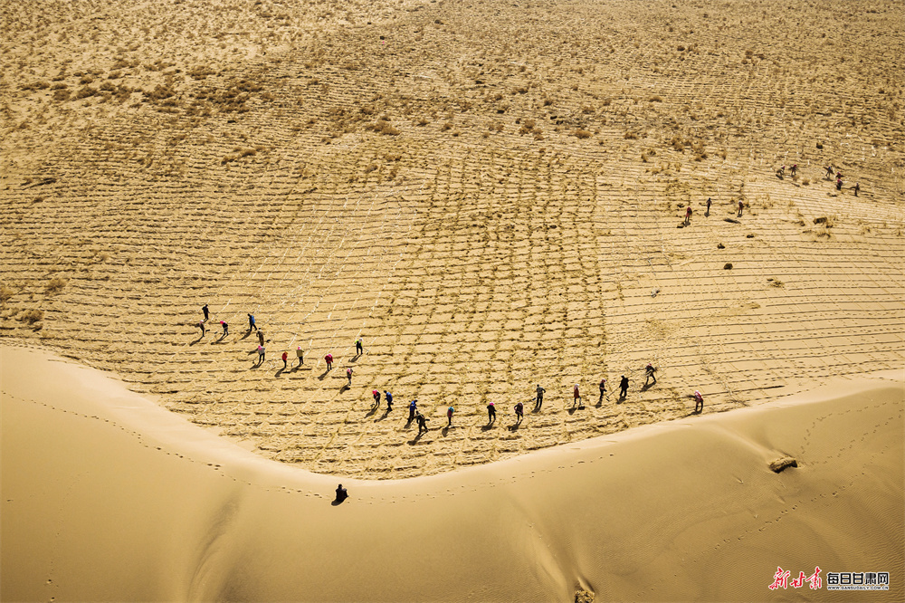 不缚“黄龙”誓不罢