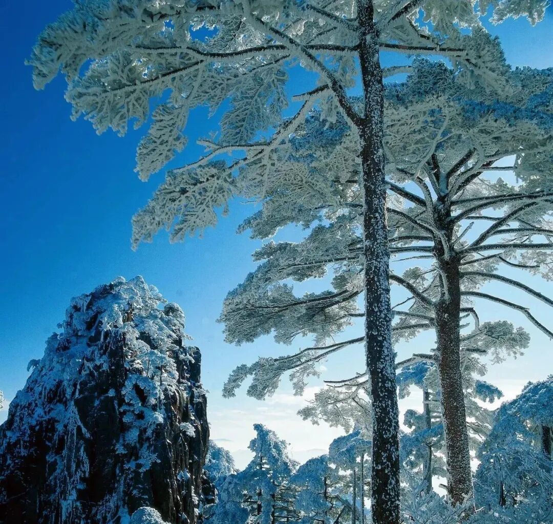 《中国国家地理》　摄影　姜平