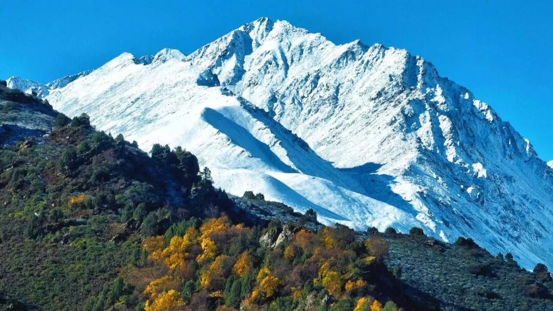 年假清零 总要留几天给武威