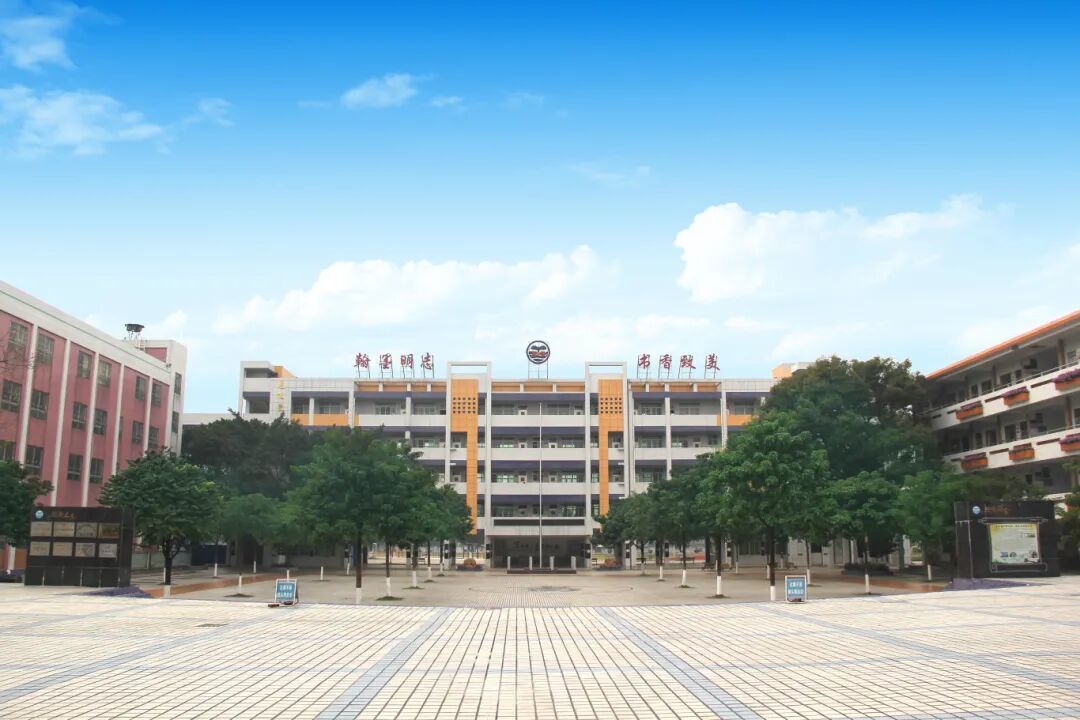 师资强、特色亮、品牌响！乐平镇6所公办小学2024学年交出亮眼成绩单