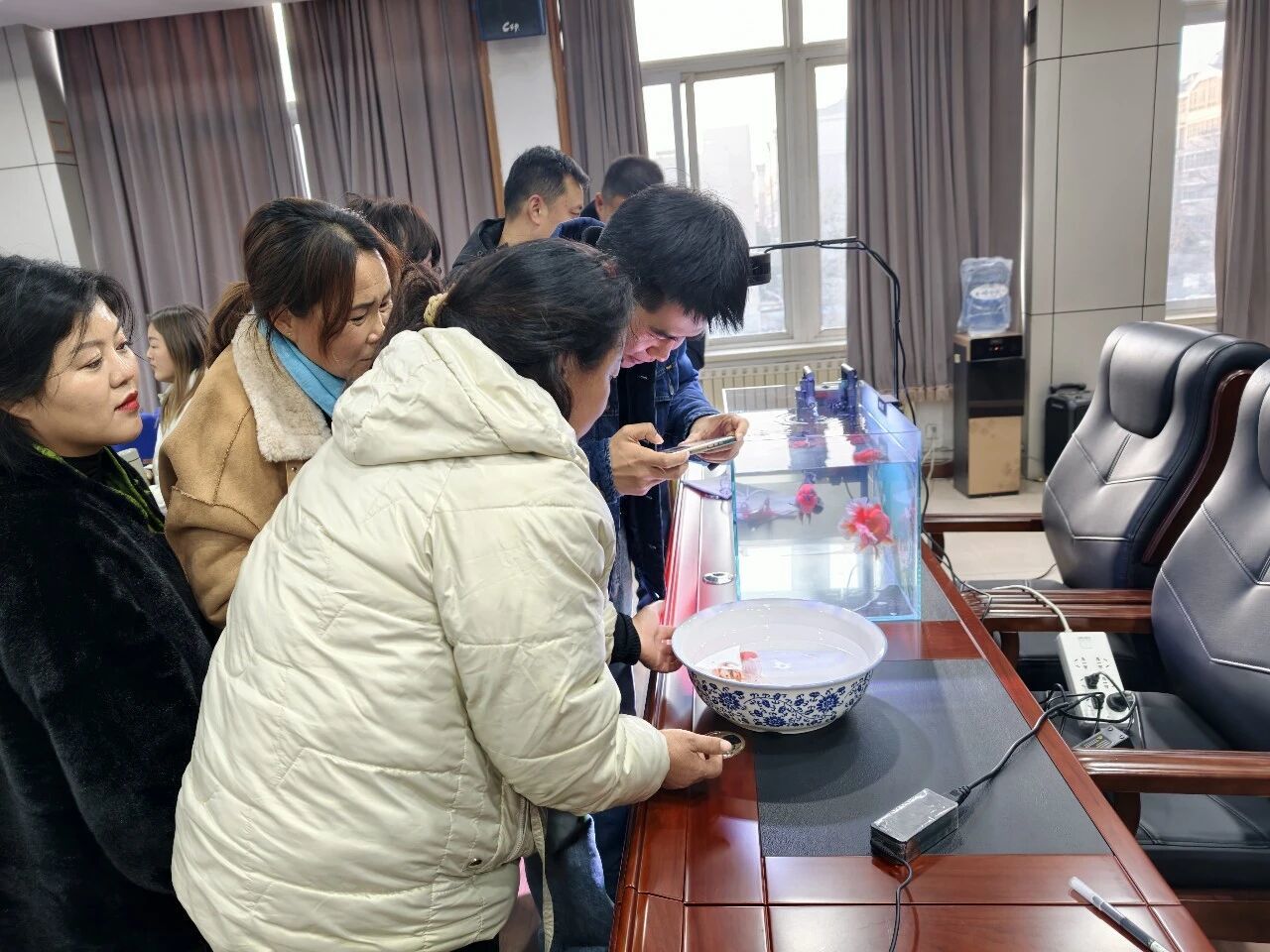 徐州云龙:这里的金鱼会直播