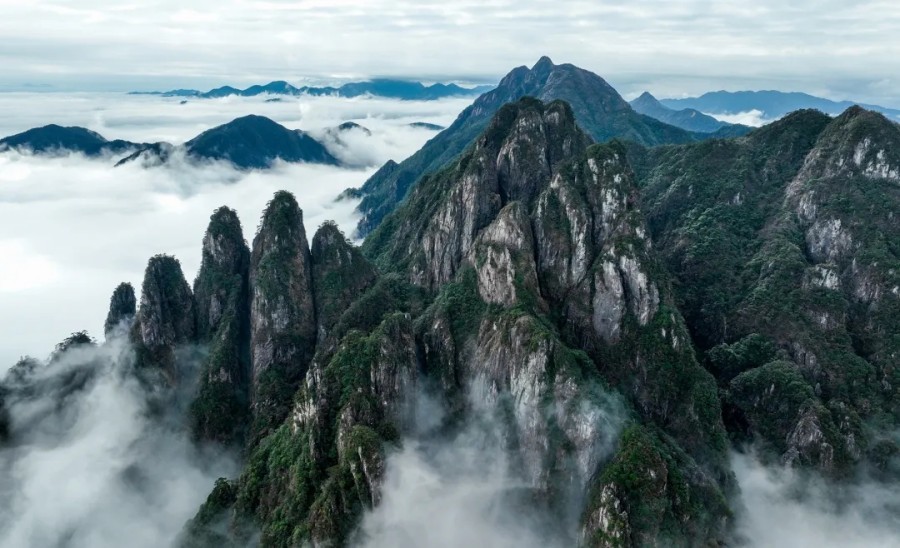 上犹县五指峰国家森林公园 杨心俊摄