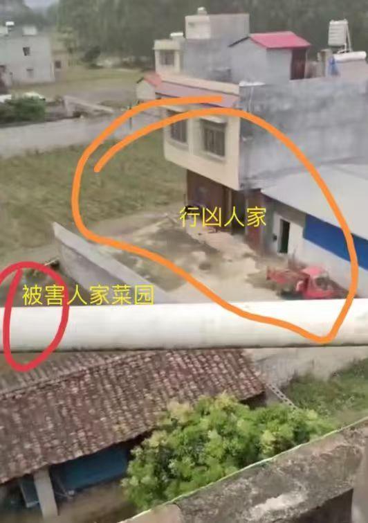 行凶者距离被害人家很近(受访者供图)