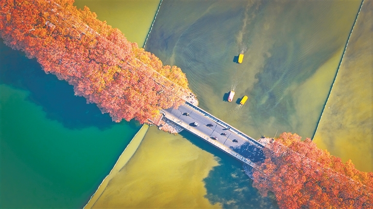 九江甘棠公园初冬之韵：误入琉璃幻梦（图）