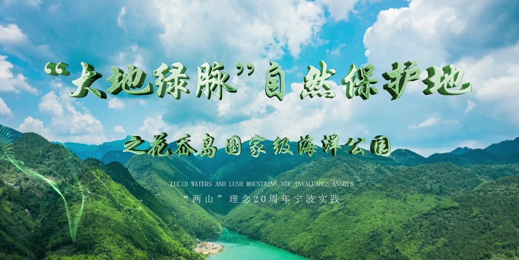 “两山”理念系列微视频：“大地绿脉”丨自然保护地之花岙岛国家级海洋公园