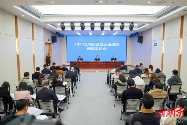 （发布会现场。湖南日报全媒体记者 李健 摄）