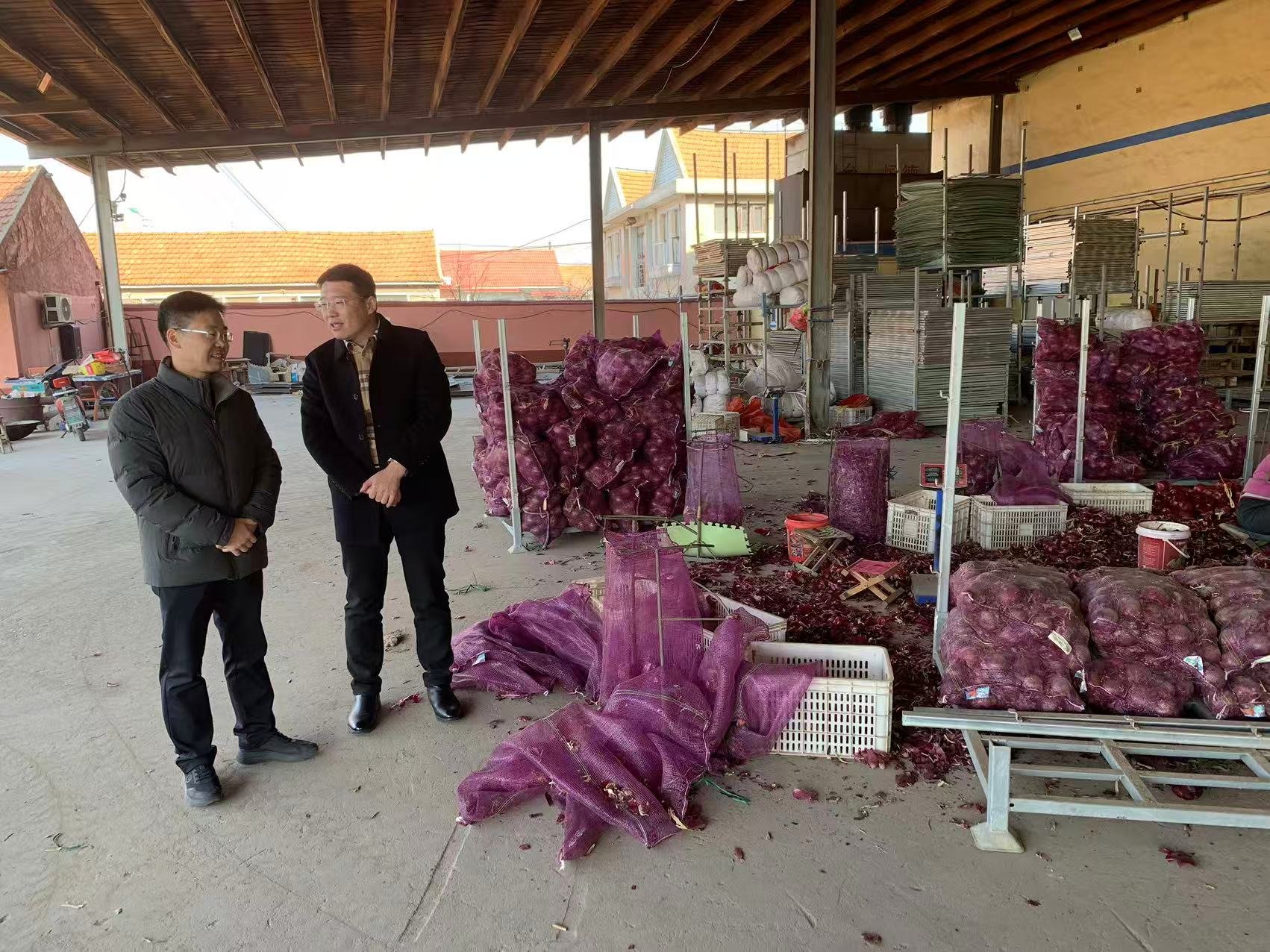 平度:纪委护航解民忧 蔬菜滞销变畅销