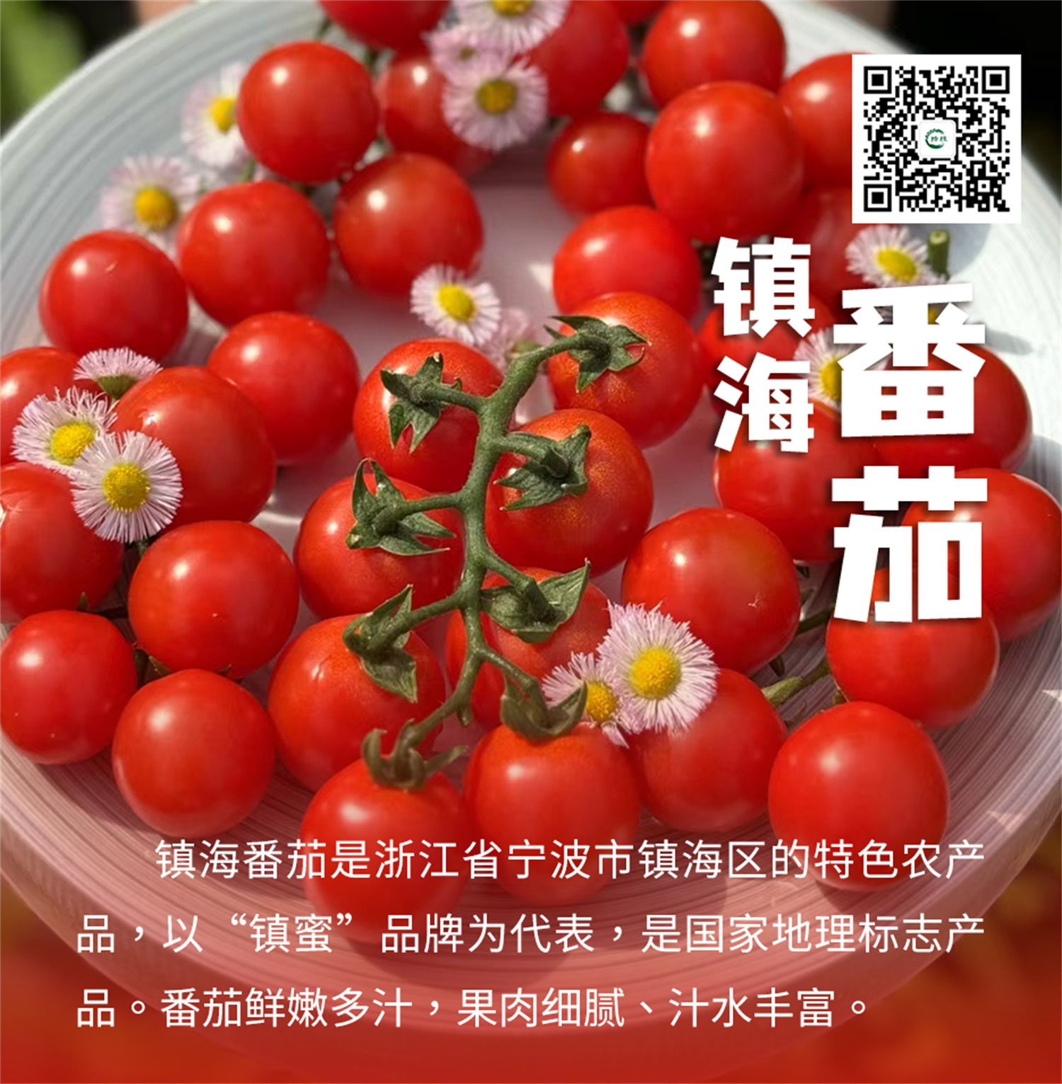 倒计时 7 天丨申请出战！十大区县明星产品亮相农博会