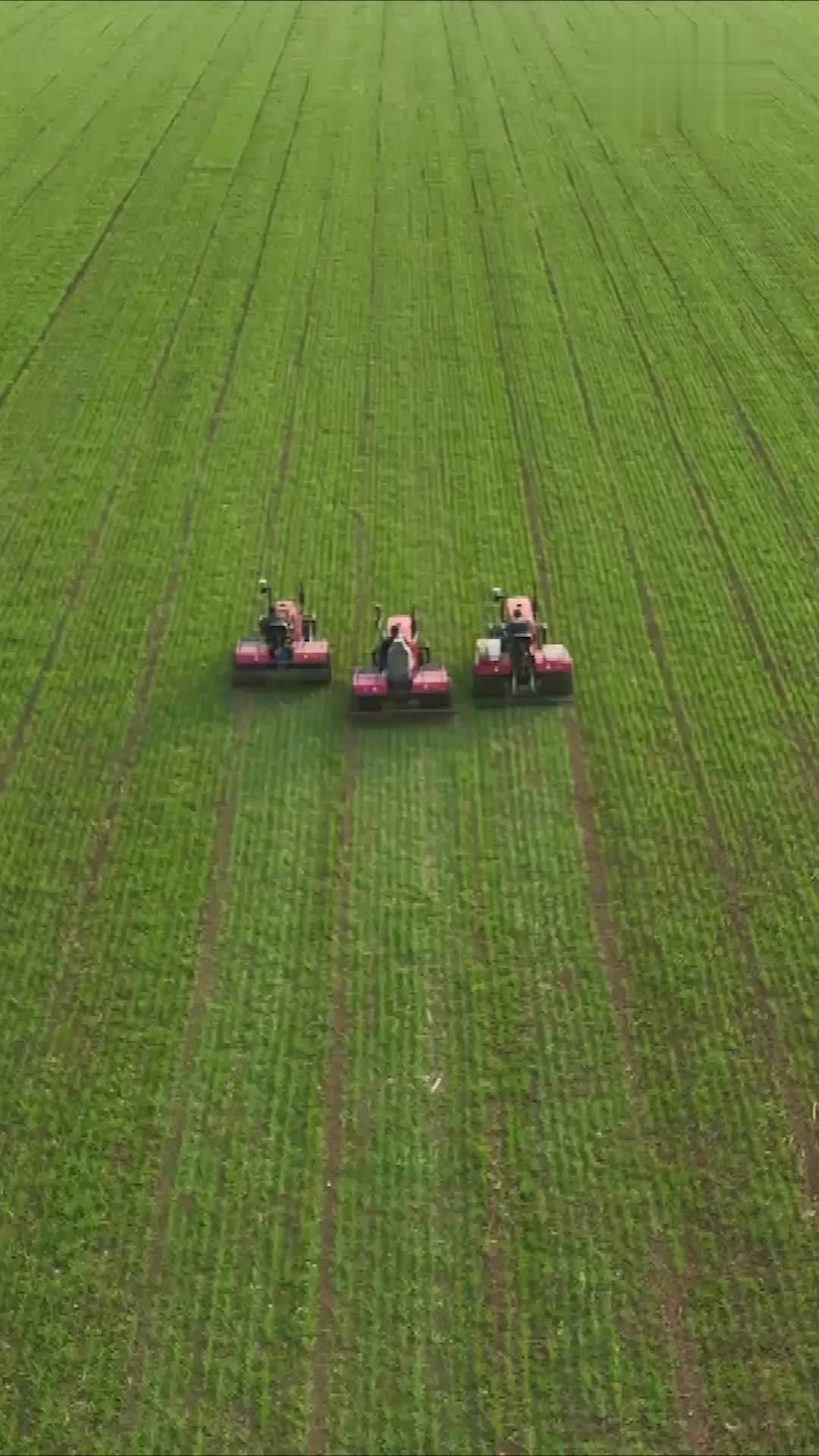 农业农村部：种业振兴行动取得积极成效