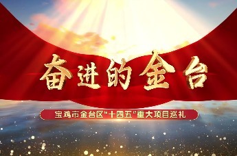 【我们的“十四五”•奋进的金台】宝鸡金台区蟠龙高新区重点打造先进新材料产业园 年产3000吨华岚新材料落地金台投产！