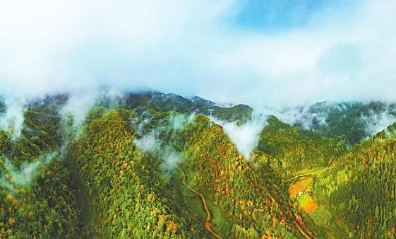 小陇山龙门林场