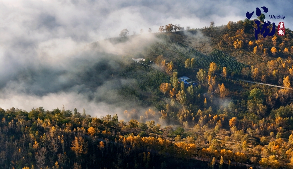 甘肃临夏斑斓冬色迷人
