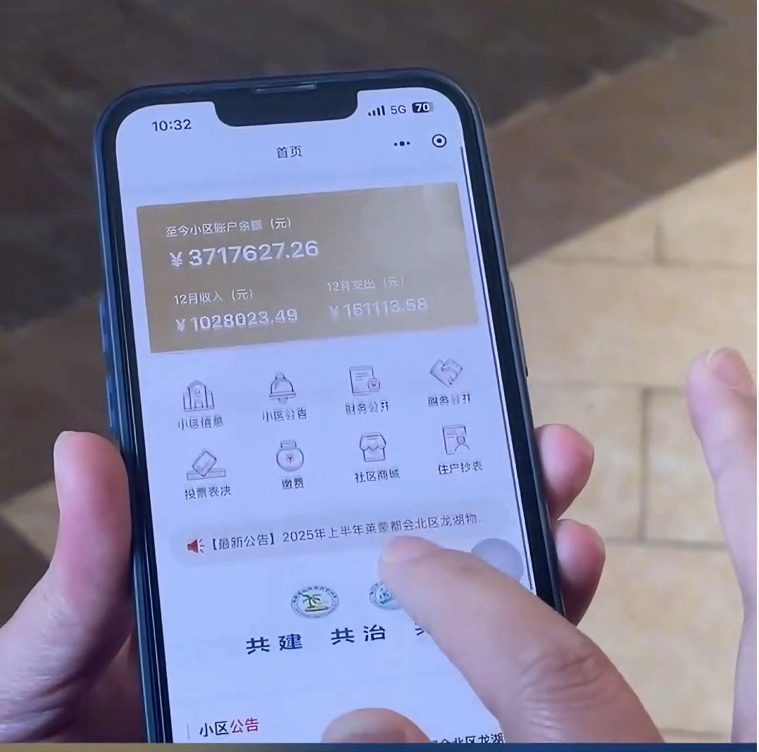 莱蒙都会北区公共收益收支小程序