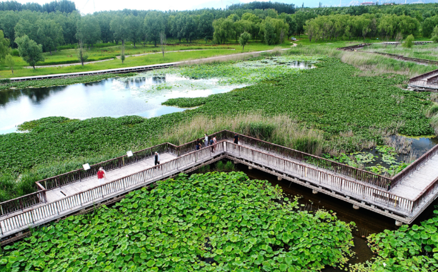 张家口怀来：立足枢纽定位激活京津冀协同新动能