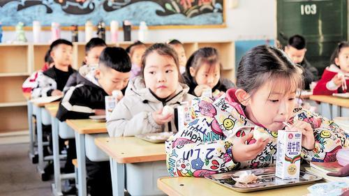 12月9日,辛集市新垒头小学一年级(1)班教室里,学生们正在吃营养餐。王露露摄