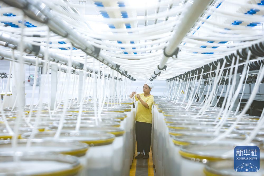 ↑ 12月15日，工人在江苏省泰州市姜堰区三水街道江苏泰达纺织科技有限公司智慧纺纱车间忙碌作业。新华社发（顾继红摄）